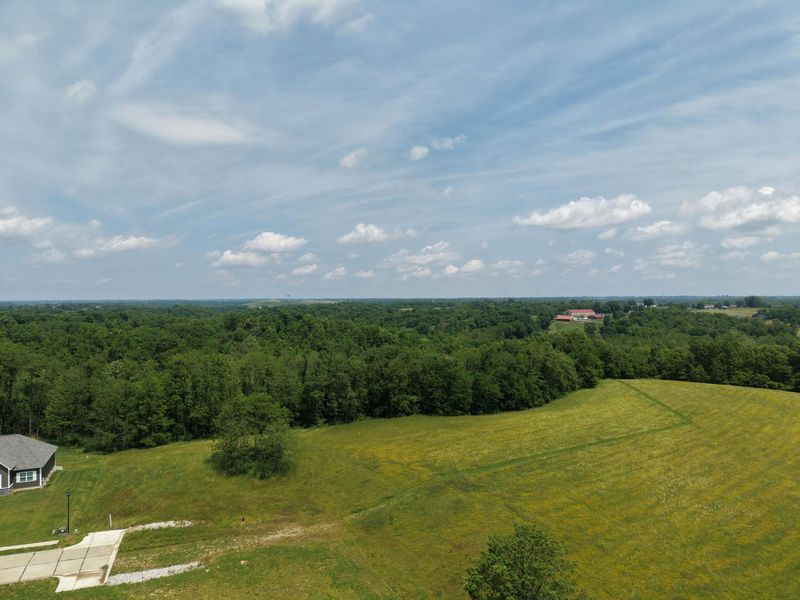 2559 Westborne Drive, Verona, KY 41092 Photo 7