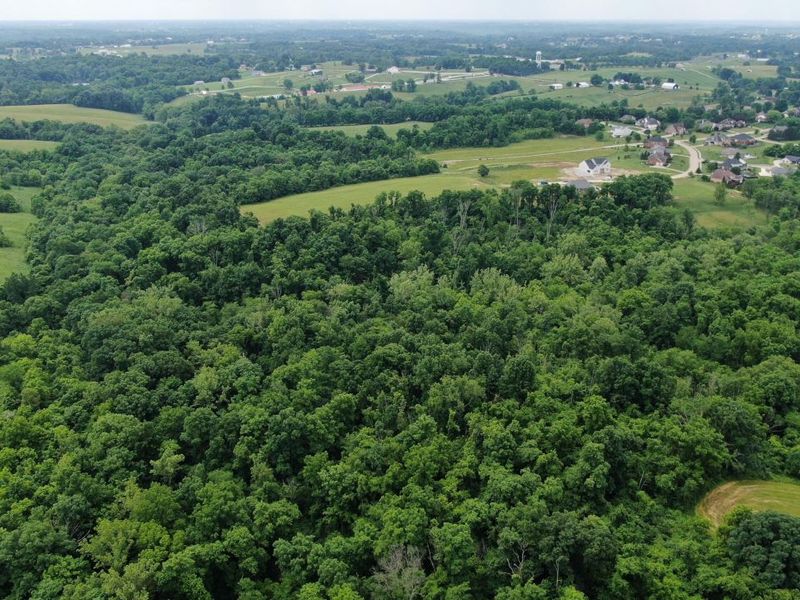 2559 Westborne Drive, Verona, KY 41092 Photo 8