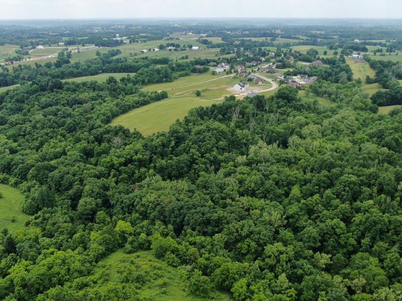 2559 Westborne Drive, Verona, KY 41092 Photo 9