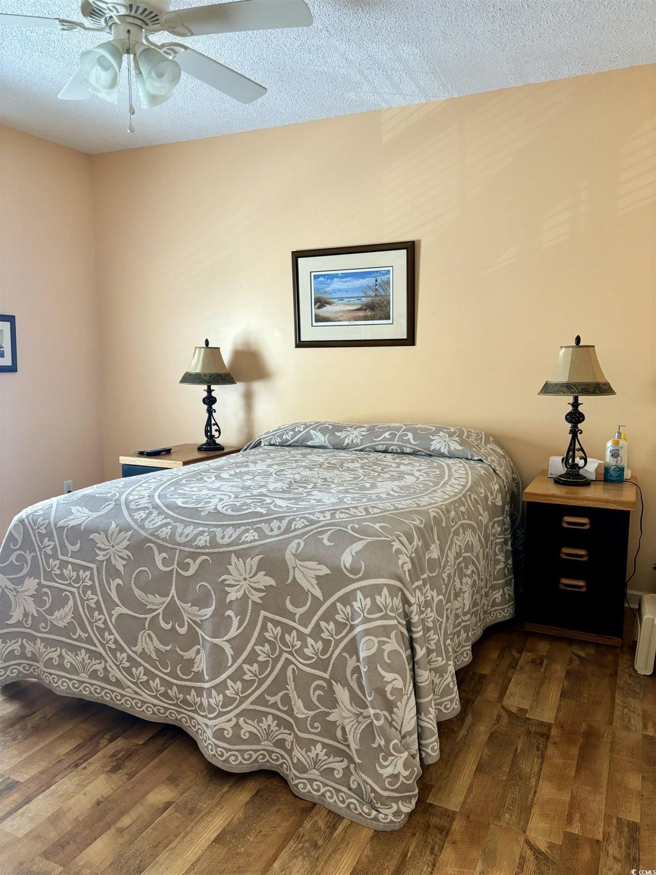 9546 Dunes Gable Ct. Photo 8