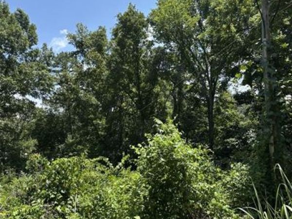 Plat 9 Lots 13 and 14 Deer Run, Van Buren, MO 63965