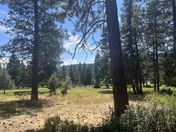 0 Siskin Lane, Unit Lot 29, Klamath Falls, OR 97601