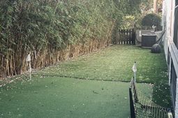 1208 Cadberry Court photo 4