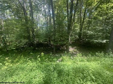 222 Woodbine Drive, Terra Alta, WV 26764