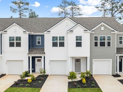 118 Cypress Hollow Way, Santee, SC 29142