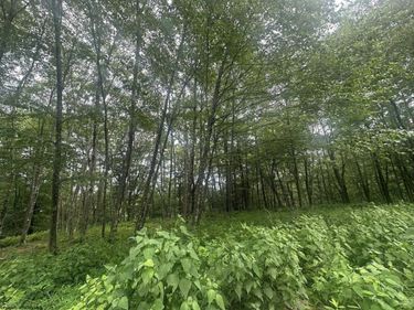 153 Windflower Drive, Terra Alta, WV 26764