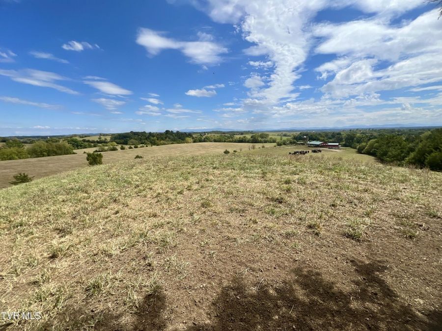 Property Image 97