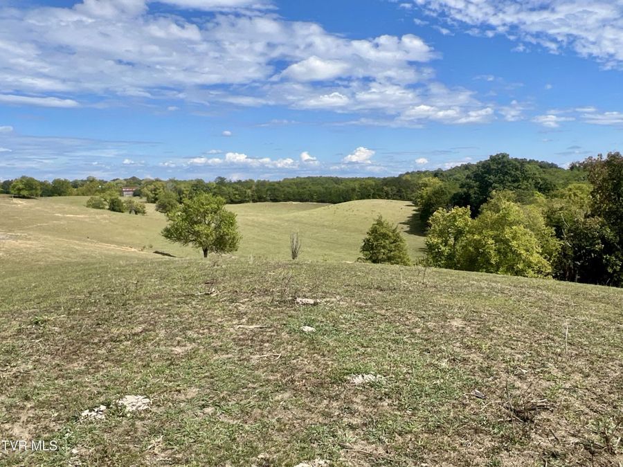 Property Image 100
