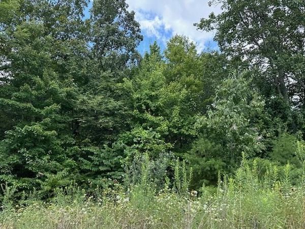 Lot 89 Bobcat Lane, Wilder, TN 38589
