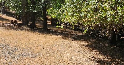 7040 Idlewild Rd, Somerset, CA 95684 Photo