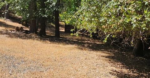 7040 Idlewild Rd, Somerset, CA 95684 Photo