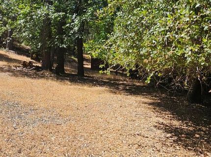 7040 Idlewild Rd, Somerset, CA 95684 Photo