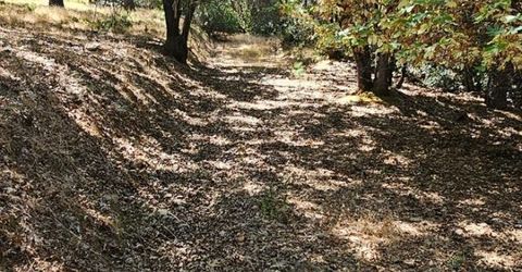 7040 Idlewild Rd, Somerset, CA 95684 Photo