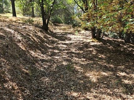 7040 Idlewild Rd, Somerset, CA 95684 Photo