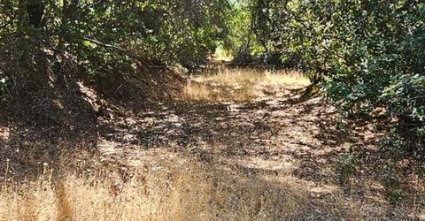 7040 Idlewild Rd, Somerset, CA 95684 Photo