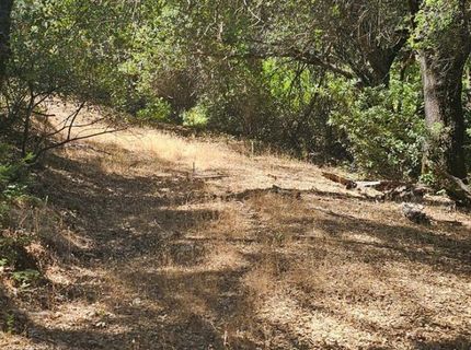 7040 Idlewild Rd, Somerset, CA 95684 Photo