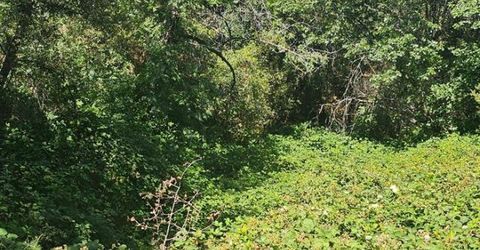 7040 Idlewild Rd, Somerset, CA 95684 Photo