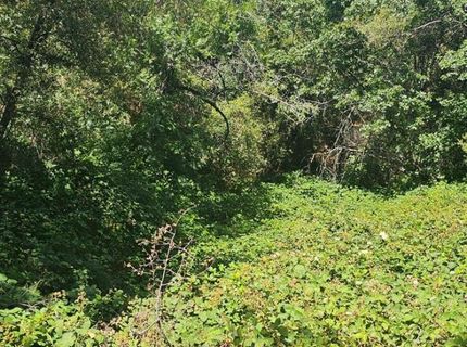 7040 Idlewild Rd, Somerset, CA 95684 Photo