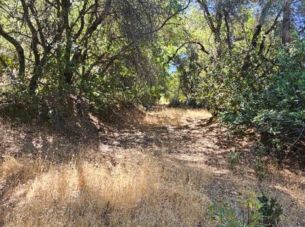 7040 Idlewild Rd, Somerset, CA 95684 Photo