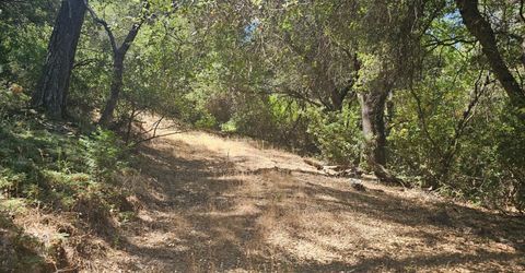 7040 Idlewild Rd, Somerset, CA 95684 Photo