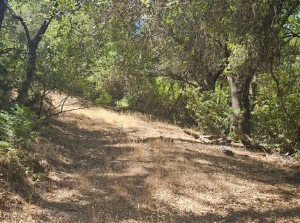 7040 Idlewild Rd, Somerset, CA 95684 Photo