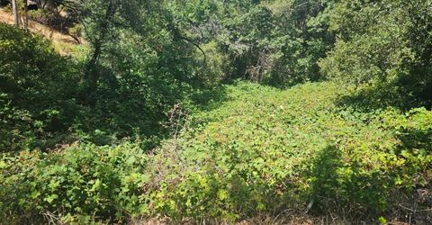 7040 Idlewild Rd, Somerset, CA 95684 Photo