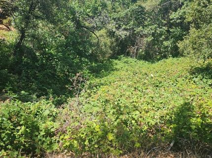 7040 Idlewild Rd, Somerset, CA 95684 Photo