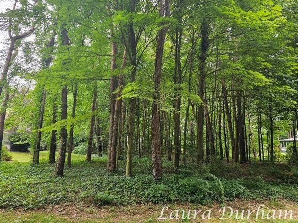 N of 3365 Clearview Lane, Saugatuck, MI 49453