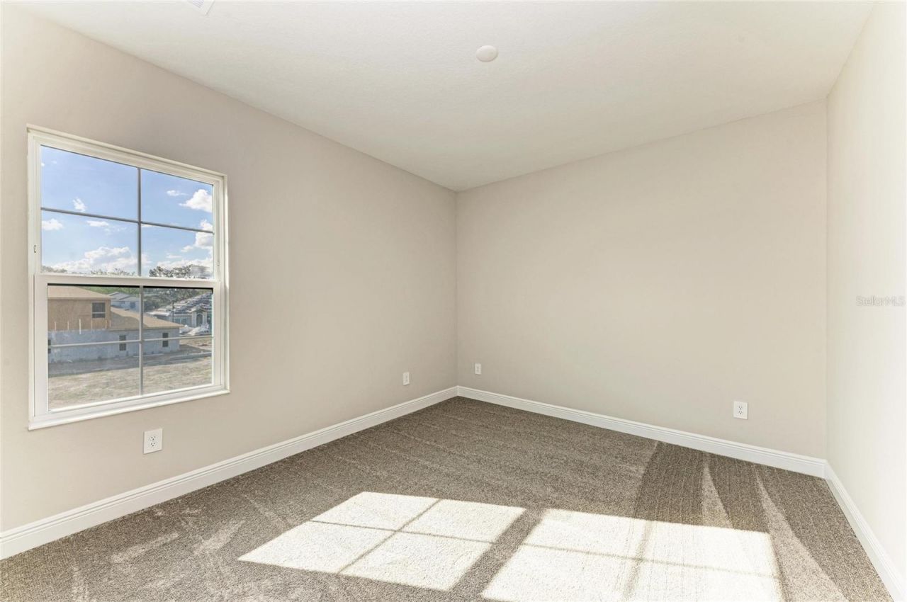 4624 Cedar Fog Ct Drive, Valrico, FL 33596 Photo