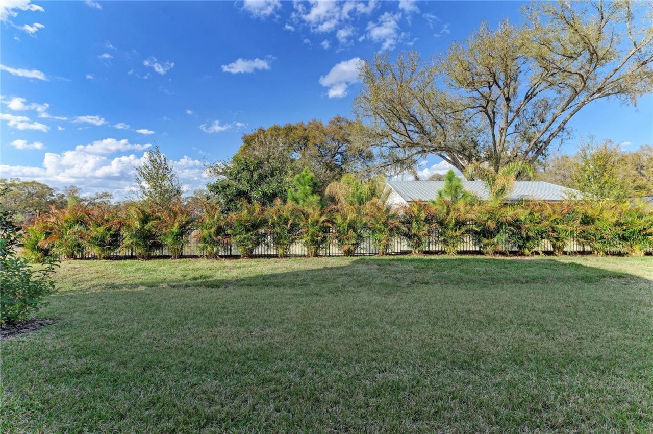 4624 Cedar Fog Ct Drive, Valrico, FL 33596 Photo