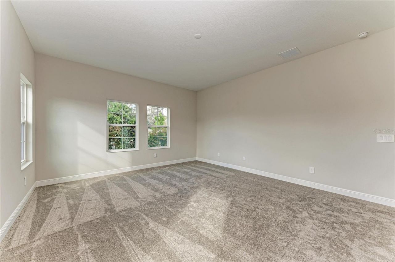 4624 Cedar Fog Ct Drive, Valrico, FL 33596 Photo