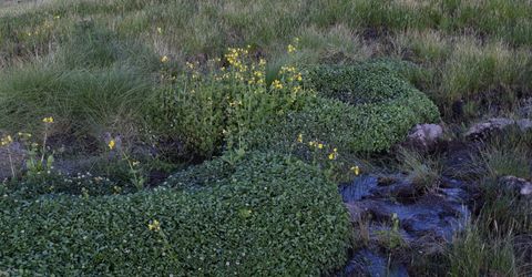 3300 High Rock Road, Gerlach, NV 89412 Photo