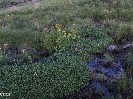 3300 High Rock Road, Gerlach, NV 89412 Photo