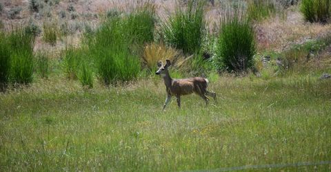 3300 High Rock Road, Gerlach, NV 89412 Photo