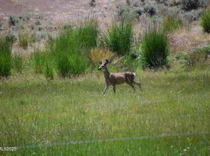 3300 High Rock Road, Gerlach, NV 89412 Photo