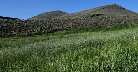 3300 High Rock Road, Gerlach, NV 89412 Photo