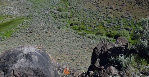 3300 High Rock Road, Gerlach, NV 89412 Photo