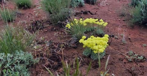 3300 High Rock Road, Gerlach, NV 89412 Photo