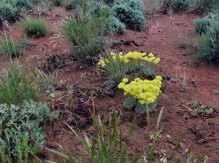 3300 High Rock Road, Gerlach, NV 89412 Photo