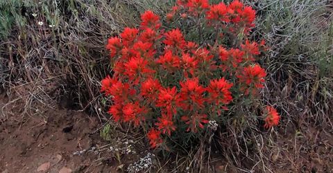 3300 High Rock Road, Gerlach, NV 89412 Photo