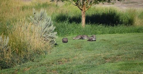 3300 High Rock Road, Gerlach, NV 89412 Photo