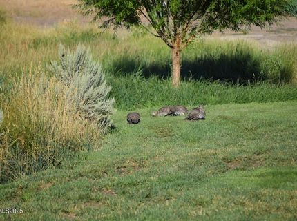 3300 High Rock Road, Gerlach, NV 89412 Photo