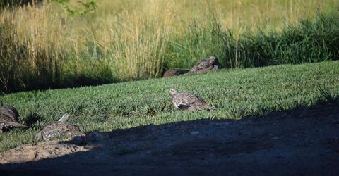 3300 High Rock Road, Gerlach, NV 89412 Photo