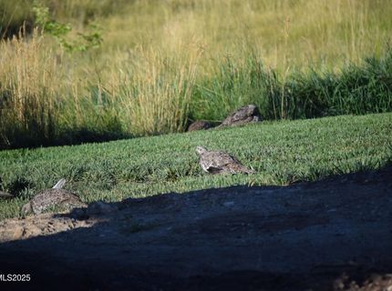 3300 High Rock Road, Gerlach, NV 89412 Photo