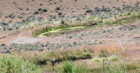 3305 High Rock Road, Gerlach, NV 89412 Photo