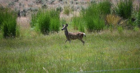 3305 High Rock Road, Gerlach, NV 89412 Photo