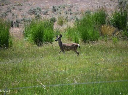 3305 High Rock Road, Gerlach, NV 89412 Photo