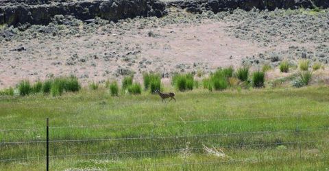 3305 High Rock Road, Gerlach, NV 89412 Photo