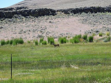 3305 High Rock Road, Gerlach, NV 89412 Photo