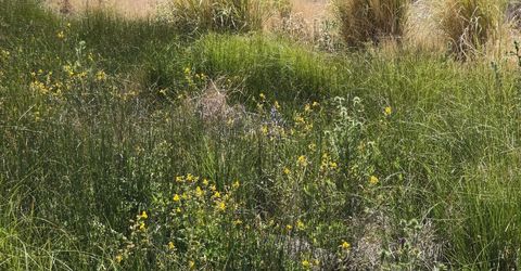 3305 High Rock Road, Gerlach, NV 89412 Photo